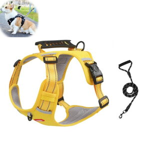 GIIPET OɂAɗDpn[lX n[lX ^ ^ ^ p ߉\ s⏕n[lX ֑ ̎\tgn[lX EȒP ʋC bVf y