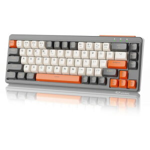 ZIYOU LANG M68 RpNg 3[h u L[{[h Bluetooth CX L 2.4GHz Type-C 67L[ 65% RGBƖ [d É ^ PBTʃL[Lbv USB V[o[ l̍HwfUC Windows/M