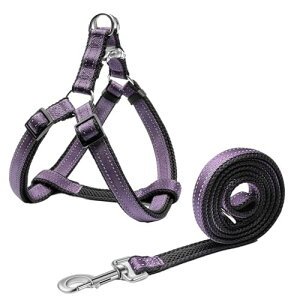 PawHuggies p[nMX pn[lX [h Zbg  ybgpi 3M˖ގ AɗD g[jO⏕ iC ߉\ h~ ^ ^ ^ ʋC V