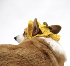 Fluffy tofu pXq RX`[ SΉ ^ ^ ^ | ʐ^Be a U oɂ҂-,S