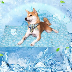 Shinyever ybgЂ}bg L ėp N[}bg ⊴WF}bg MǑ΍ 􂦂 ybglԌppV[g pr L ^Ή(䂫΂, L)