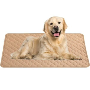 BIG&SO ybgV[c 􂦂 L   ybgV[g ybgp gC~}bg P[X  EL R x[W LTCY 100*70cm