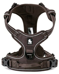 cocomall pn[lX p hbO ybgpi n[lX 3Mˍޗ P iC ^A^A^Ɍ ʋC ߉\ (L, uE)