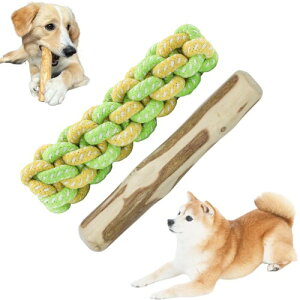 R[q[Ebȟ ނ VRR[q[ Y 100%   ̓f^PA XgX LɘaɍœKł ^E^p̌ mߋ  JtFCt[(XXS)