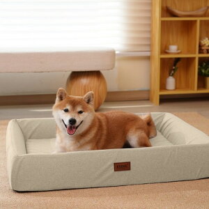 EMME 3D xbh hSTE^ybgNbV|₷ ybg\t@[ ybgxbh 􂦂 Ȗ   q L  OJo[ ~ I[V[