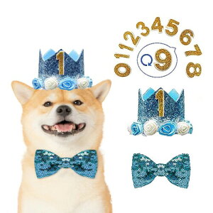 ZHEJIA ybg aXq ybgpߑ lN^C t NE LL  ybgo[Xf[ t a Be ()