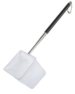 PawflyANAẼGr̖Ԃ 8 cm ̐Lk݂̃XeX|̃nhtĂGr̒t̂߂̏_炩`̗ǂԂ͋̐yяr̂߂̐HƎc]̎c[