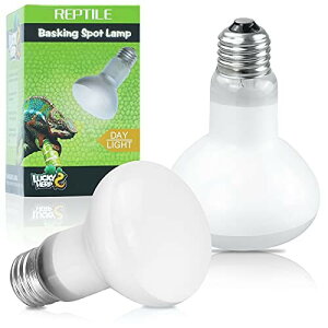 LUCKY HERP ঒ Cg TO[ 100W 2 oXLOX|bgv v^Cq[gv pW^ UVA?Ȓz LXyNgp TAqQhSAgJQMp