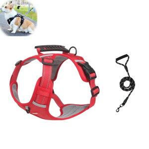 GIIPET OɂAɗDpn[lX n[lX ^ ^ ^ p ߉\ s⏕n[lX ֑ ̎\tgn[lX EȒP ʋC bVf y