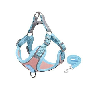 Lpn[lX n[lX Lp ^ ˂   S L[h Zbg Ď L qLybgpx[VbN s⏕ h~  Eh~ y ȒPE u