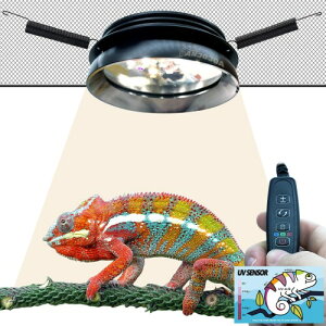 ANJOJOA ঒��� ���O�����C�g LED UVA UVB �t�b�N�� 2025US�����l�C ���f�� ���b�V���J�o�[�t��঒��ގ���P�[�W�Ɏg�p UV���x�I�� ���ʒ��� �^�C�}�[ �M�щJ�тƍ�����঒��ޗp �Ɩ���� 6W