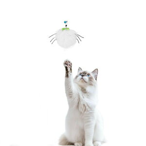 (pwbĥ݊܂) 3 of Ni L炵 ̖ VR ˂炵 ܂ Ct[LLb`~[ VRETM̖ ӂӂ̖ы L̂ቮLp(spider*1)