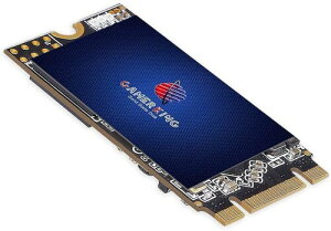 GamerKing M.2 2242 SSD 256GB SATA III 6Gb/s NGFF ^ Solid State Drive n[hhCu \n[hhCum[g/p\R/fXNgbvKp \bhXe[ghCu 3NۏSSD (256GB, M.2 2242)