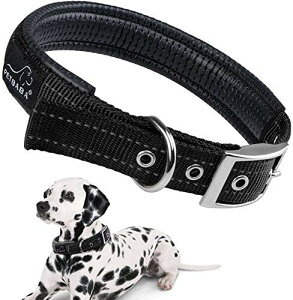 PETBABA(ybgoo)  , v ̎ ^ ^ p  U/g[jOɕ֗ \tg Rbgn obN \ ybgp x[VbN (ubN)