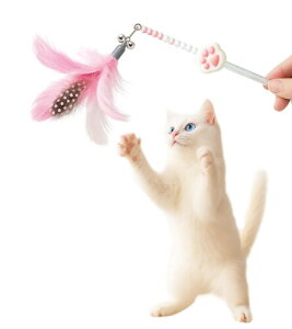 HOLYCAT L 炵 L   킢 zO L炵 H ˂ߋ VRH Ĥ lV LV  t  VR̉H ӂӂ  ^s