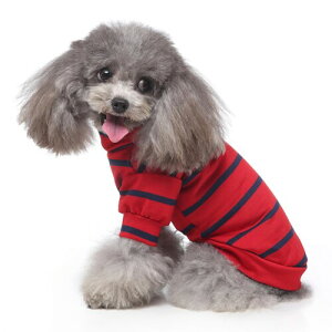 DICOCO  L ėp  nClbN hbOEFA lR ^p  킢 ybg S9FWJ ʋC y K U tHgWFjbN ԐXgCv M