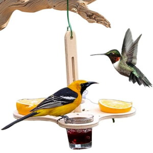 IỈaẢawAރuhE[[̉aA쒹̉aAOؐa