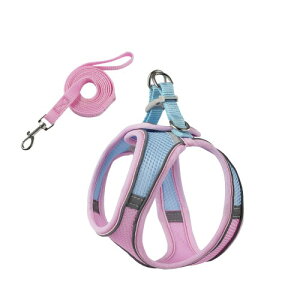 (PB:KS) p n[lX  Ȃ [hZbg ^ ybg xXg ^ U o Lp (sN×u[ibVj, L)