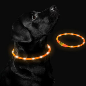 Liroyal   LED F400m USB[d TCY߉\ Cg  U 3FI\ S h ^ ^ ^ ȒPiIWj