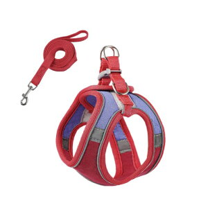 (PB:KS) p n[lX  Ȃ [hZbg ^ ybg xXg ^ U o Lp (bh×u[, M)