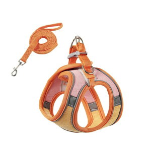 (PB:KS) p n[lX  Ȃ [hZbg ^ ybg xXg ^ U o Lp (IW×sN, M)