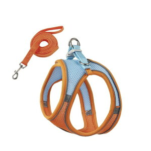 (PB:KS) p n[lX  Ȃ [hZbg ^ ybg xXg ^ U o Lp (IW×u[ibVj, M)