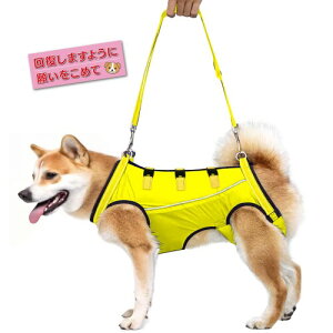 (DIOSARK)  T|[gn[lX s⏕  nr Sn[lX x  k  sx V Q  VjA O㑫⏕ EȒP ߉\ (S, CG[)