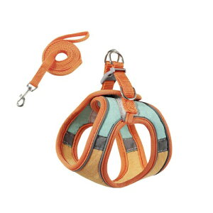 (PB:KS) p n[lX  Ȃ [hZbg ^ ybg xXg ^ U o Lp (IW×CgO[, L)