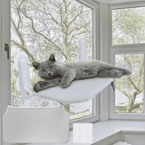 fabuon life ˂̂ELтf 2025NVf L p nbN fUC pʃe[v9t  z ^ Jo[2 t@Xi[ gȒP \ ܏ I