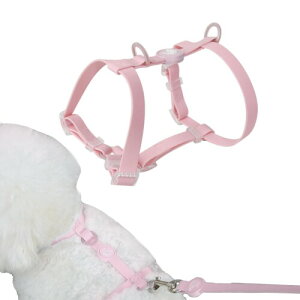 MaychanC` hn[lX  ▀Ղɋ 3F ^ ^  [h ߉\ y hL (M, sN)