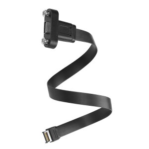 SinLoon USB 3.1フロントパネル・ヘッダ・タイプC延長ケーブル タイプE 20ピン・オス-USB-Cメス・ケーブル パネル取り付けネジ付き 10Gbps 30cm