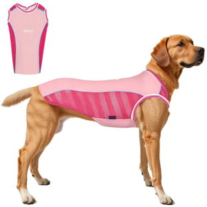 Kickred  ĕ TVc  K ʋC Ђ MǑ΍ ybg N[xXg ڐG⊴ z hbOEFA ̃Vc UVJbg 畆ی ^ ^ U⎺p