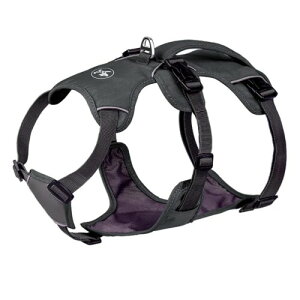 DICOCO  n[lX Ԕ ^ ʋC 킢 ^ h~ ^ Ȃ U ߉\  lCȓ AbvO[ XS