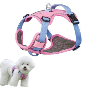 DICOCO  n[lX Ԕ ^ ʋC 킢 ^ h~ ^ Ȃ U ߉\  lCȓ sN XS