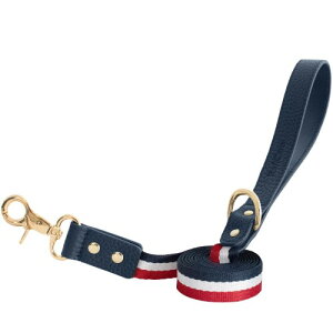 (RafiCaro) [h  ^ ^ v  ^ D v y _u[hp DJ O Jri ւɎt lCr[A