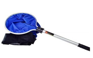 Roost  }`lbg ؂t ь Ai