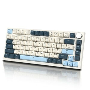 ATTACK SHARK K85 75�� ���s�b�h�g���K�[ �Q�[�~���O�L�[�{�[�h ���C�X�C�b�` �K�X�P�b�g�}�E���g �z�b�g�X���b�v�Ή� �A���`�S�[�X�g PBT�L�[�L���b�v TKL 82�L�[ �m�u�t�� �L��Type-C�ڑ� Windows