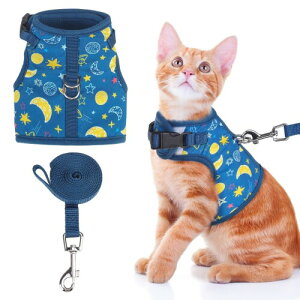 BINGPET L n[lX [h Zbg Lpn[lX ߉\  Lpi xXg ʋCbV 锽 y ȒP U o ɂ Eoh~ }WbNe[v _ubN qL