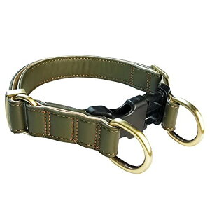 Beanspet STCŶ   ^b` _uO ^ v  킢  т pi p J[ U[ (J[L, S)