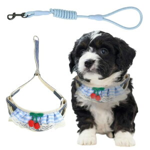 DICOCO  n[lX ^  h~ Eh~gNV TCY\ Ȃ ʋC ȒPE  S p P s⏕ U  ^т₷ U