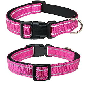 THAIN   ^ _炩 q  y ybgpi ˍޗ iC ʋC e͐ ߉\ (XS, zgsN)