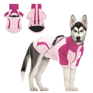 CuteBone L WPbg - hEgybgR[gE^E^pE֗ȃ}WbNe[vtEAEghAUɍœKȓ~E[hʂtEKȖȃ|GXef -