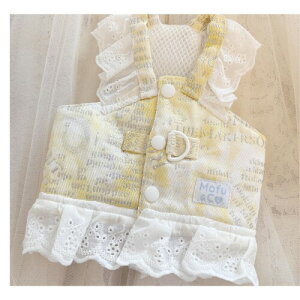  n[lX t ^ ^ DOt wJ t [X bVxXg  ̎q K[[  xXg^ ipXesN^CG[j (CG[, XL)