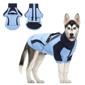 CuteBone L WPbg - hEgybgR[gE^E^pE֗ȃ}WbNe[vtEAEghAUɍœKȓ~E[hʂtEKȖȃ|GXef -