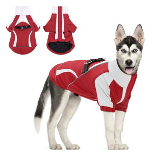 CuteBone L WPbg - hEgybgR[gE^E^pE֗ȃ}WbNe[vtEAEghAUɍœKȓ~E[hʂtEKȖȃ|GXef -