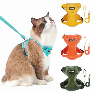 Paipeper L n[lX  [h Ȃ _ubN Lpi IV ^p ˑf 킢 bV y ʉ@ ЊQ  U 10FWJ(Vvu[ L)