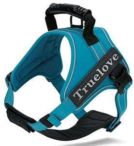 cocomall 2WAYAɗDn[lX Sypn[lX TRUE LOVE{X p hbO ybgpi 3Mˍޗ P o iCf ^A^A^Ɍ ʋC 