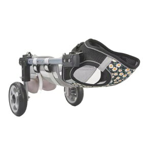 pԈ֎q ybgԈ֎q 2֕s⏕ Ԉ֎q n[lX 둫 ybg ^ ^ ԗ nr     U  R[M[ r[O sT|[g J[g 2 ^