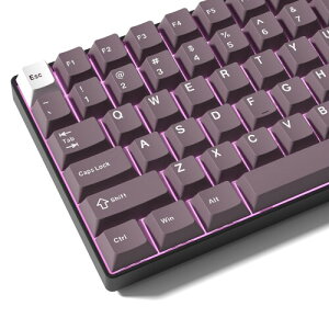 Womier PBT�L�[�L���b�v�Z�b�g�A�`�F���[�v���t�@�C���A61/68/84/87/98/100/104�L�[�Ή����J�j�J���L�[�{�[�h�p (�p�[�v���A�z���C�g)