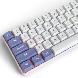 Purple White 118 �L�[�L���b�v�O���[�v�ACSA �v���t�@�C���J�X�^���L�[�L���b�v PBT �_�u���V���b�g ANSI ���C�A�E�g�L�[�{�[�h�ACherry/Gatron MX �X�C�b�`�p���J�j�J���Q�[�~���O�L�[�{�[�h
